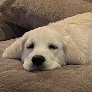 Meet your Posher, Hailey